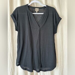 Como Vintage Black Sheer Striped Blouse for Women